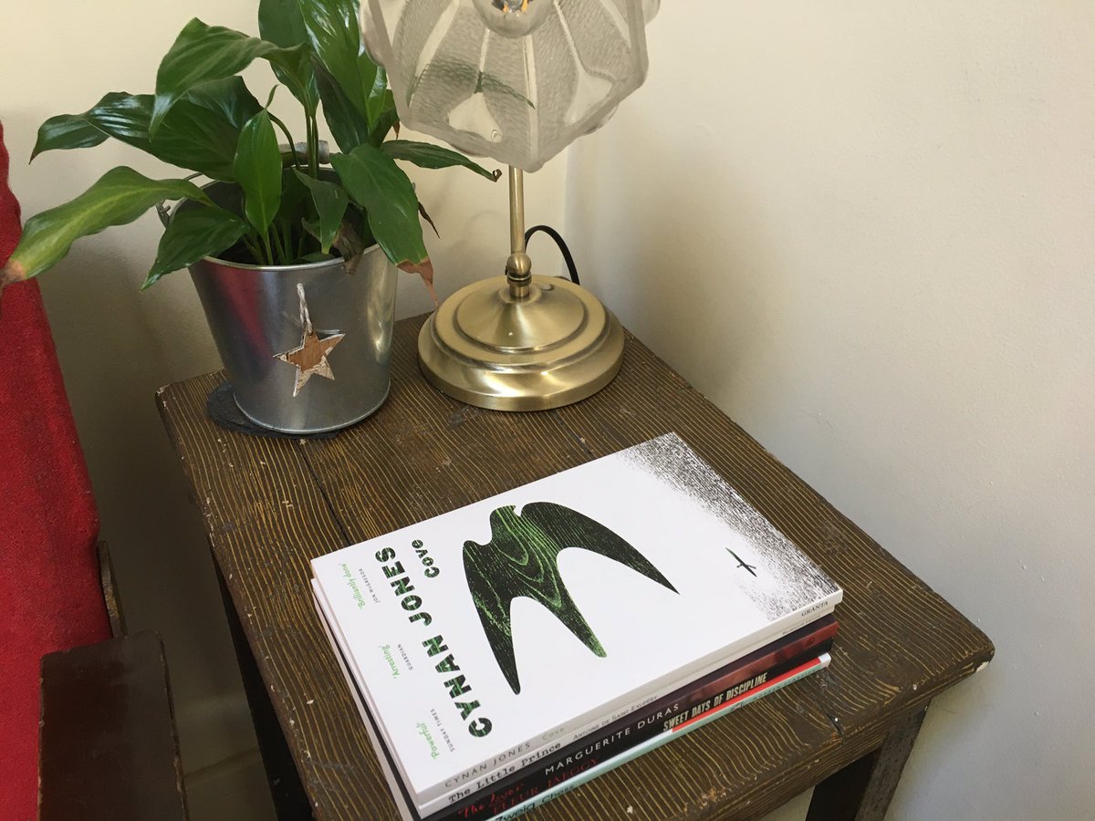 Book 30 is ‘Cove’ by Cynan Jones (courtesy of  @sonderwomann). Such a powerful novella.  #amreading  #novellathon