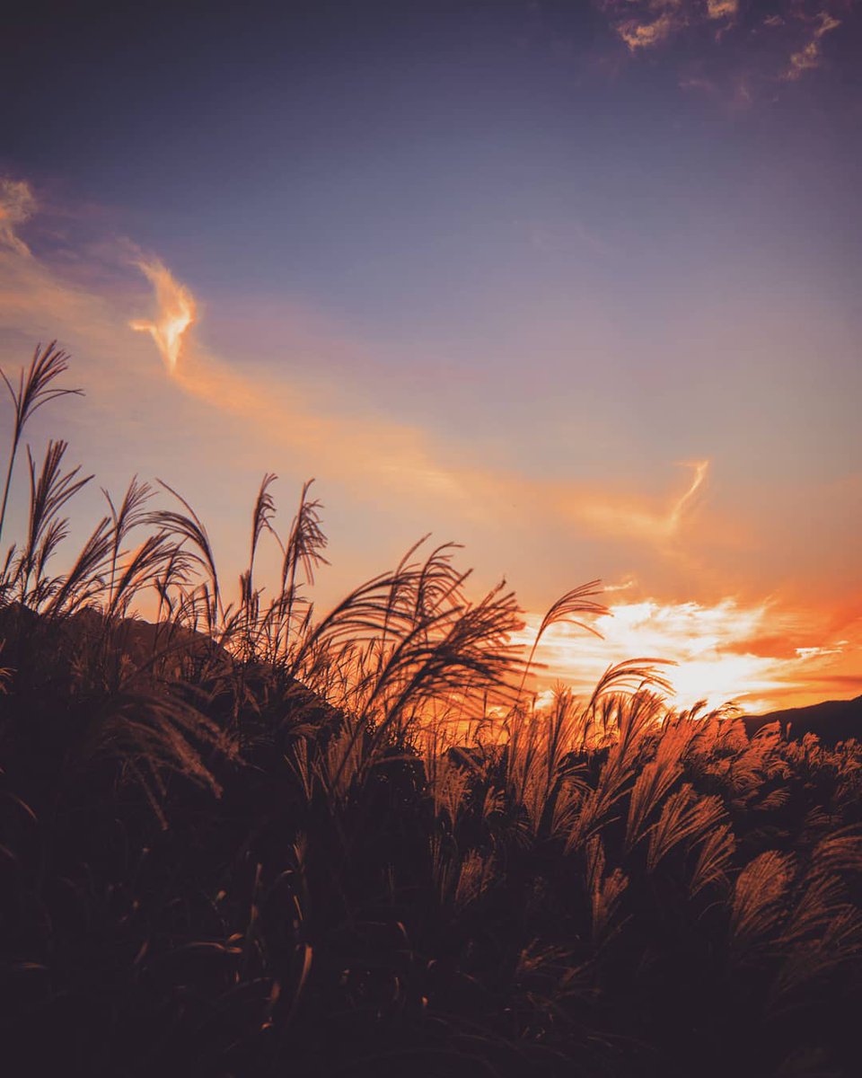 たきびとうさぎ すすき越しの夕焼け 何故か心が落ち着きます すすき 芒 雲 秋の空 秋の訪れ 秋の気配 秋 雲 雲好き 一眼レフカメラ 一眼レフ カメラ カメラ好き カメラ男子 カメラ女子 そら 空 空好き 夕方 夕暮れ空 夕暮れ たきびとうさぎ すすき越しの夕焼け 何故か心が落ち着きます すすき 芒 雲 秋の空 秋の訪れ 秋の気配 秋 雲 雲好き 一眼レフカメラ 一眼レフ カメラ カメラ好き カメラ男子 カメラ女子 そら 空 空好き 夕方 夕暮れ空 夕暮れ