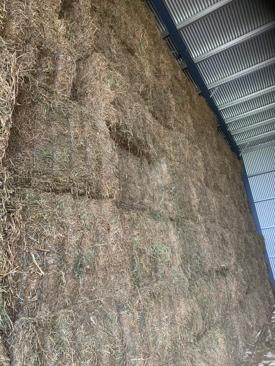 Peter Sexton tweet media