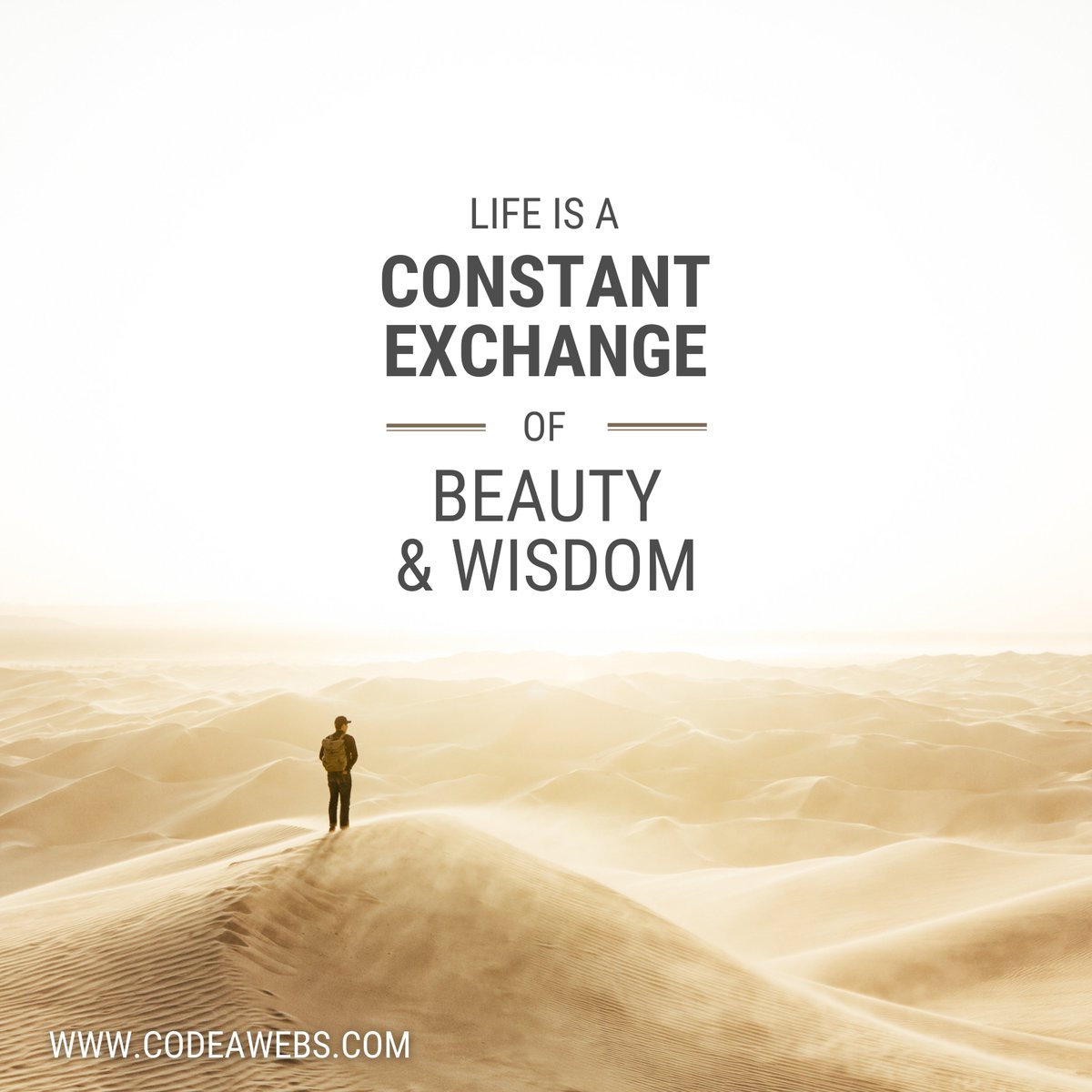 codeawebs's tweet photo. Be prepared for better tomorrow!

Get your business online with us.

Send us a message or visit our website: https://t.co/mFiuEE1ISG

#business #website #marketing #digitalmarketing #webdesign #seo #socialmedia #email #smallbusiness #branding #codeawebs #codeawebs https://t.co/CpSDAzKqjB