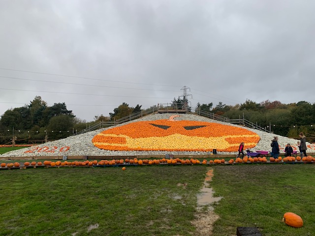 BBCRadioSolent's tweet image. 'I was struggling with the mouth and teeth and then all of a sudden I saw a mask on my desk'

Ian Nelson from @The_Sunnyfields farm in Totton spoke to @LucyAmbache about their masked pumpkin and the recognition from around the world 🎃

Listen back⬇️
bbc.in/31Xrugu