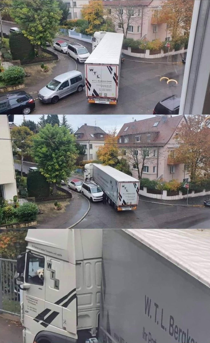 He's totally unqualified for the job, but he's doing his best.