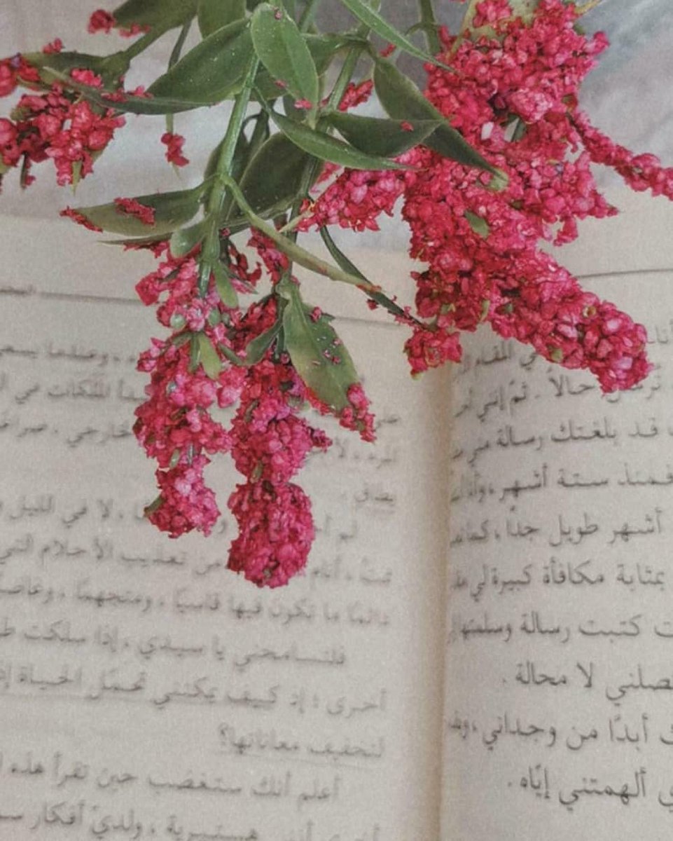 Wroodbook's tweet photo. يحمل هذا الكتاب قصصاً مختلفة ومتنوعة لكن العامل الرئيسي بينها هو الحب بأشكاله
المختلفة.

#المخلص_للأبد
#إليانور_باس
#نعود_بحذر
#ورود_بوك

الطلب عبر موقعنا الإلكتروني🌐
https://t.co/32zVO4zYWY https://t.co/LPsdp7s3d4