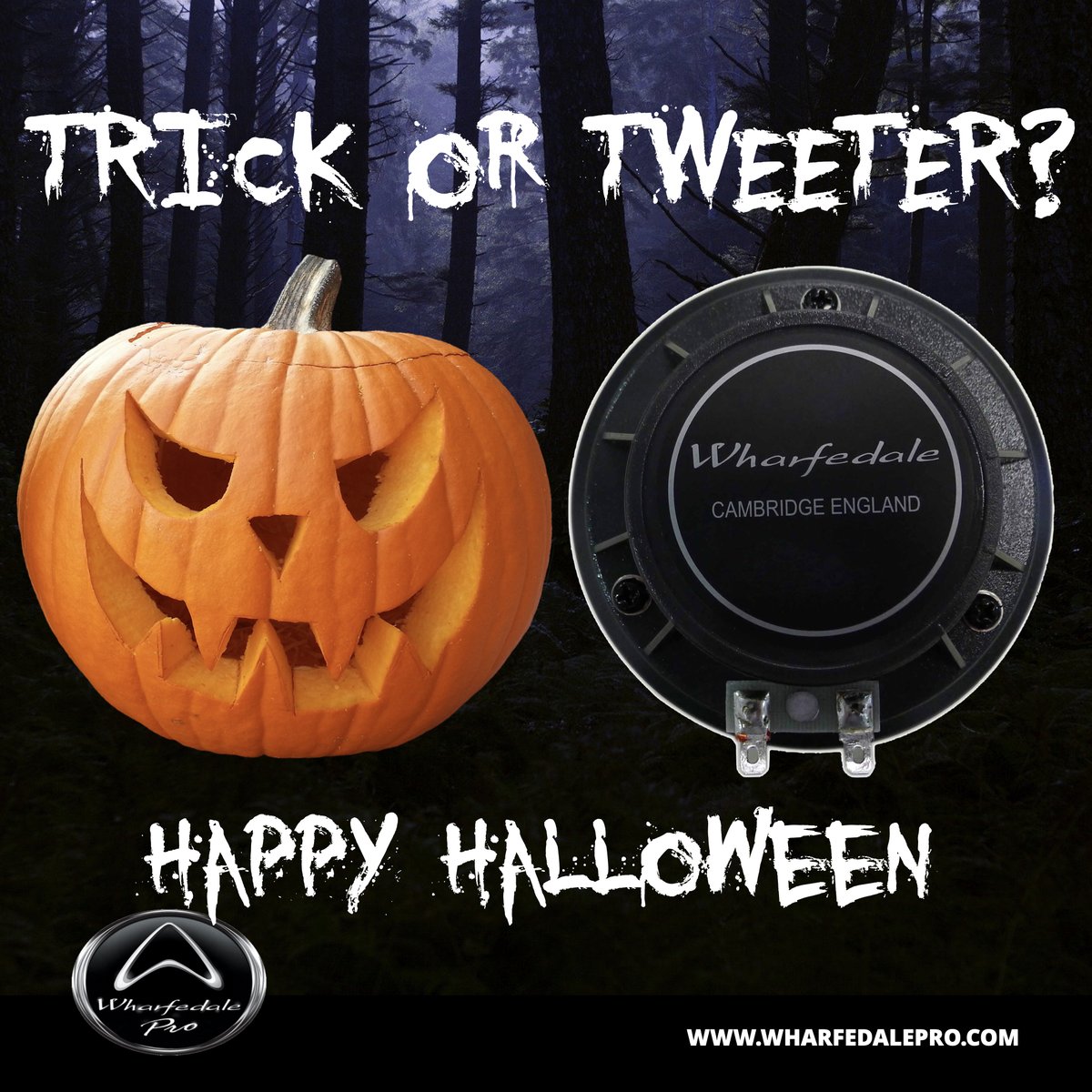 Share if you’re scared!

#wharfedalepro #Halloween