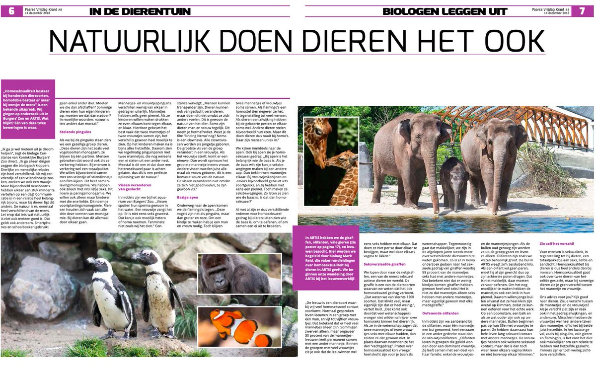 Paarse Vrijdag Krant 🏳️🌈 tweet media