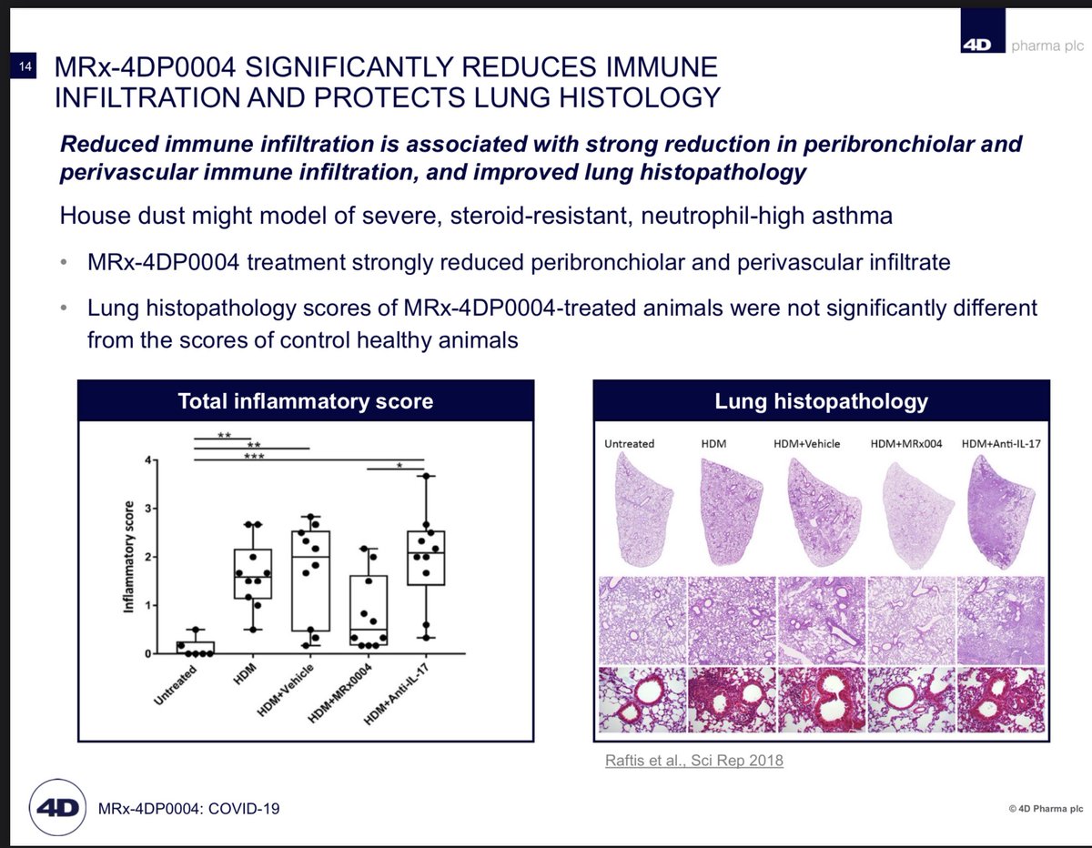  #DDDD  $LBPS MRx-4DP0004 SIGNIFICANTLY REDUCES IMMUNE INFILTRATION AND PROTECTS LUNG HISTOLOGY Covid-19. Reduced immune infiltration is associated with strong reduction in peribronchiolar and perivascular immune infiltration, and improved lung histopathology