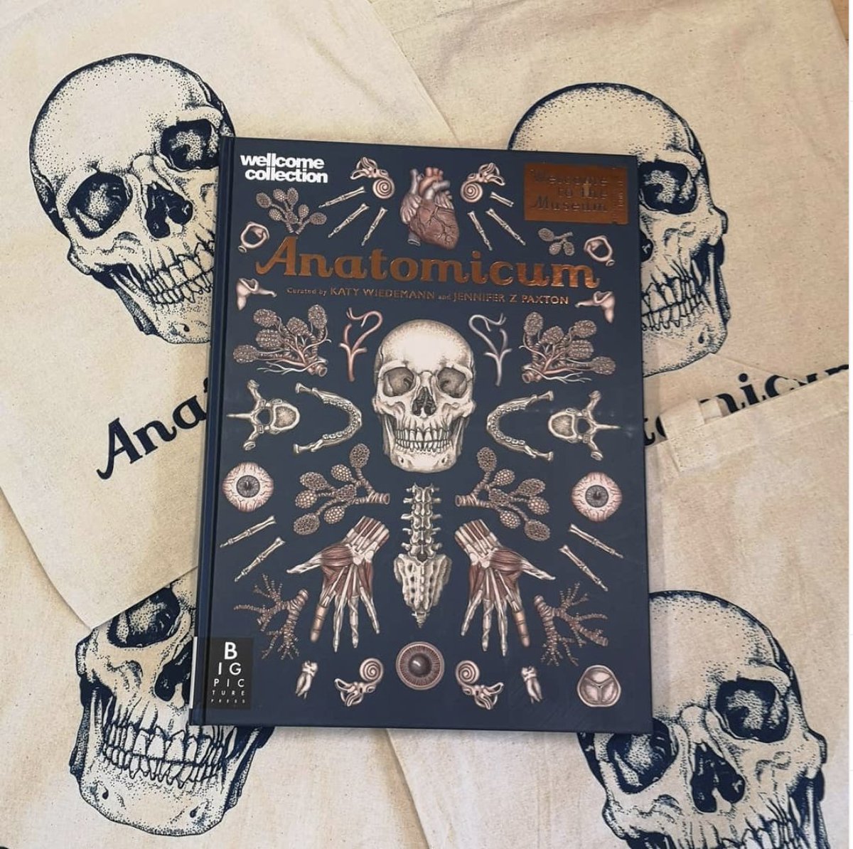 BigPicturePress's tweet photo. This spooky season win a bundle of #Anatomicum goodies including:

💀Anatomicum
💀Anatomicum Tote Bag
💀Anatomicum Junior Edition
💀Anatomicum Postcards

To enter, let us know your favourite spooky story in the comments below, RT and follow @BigPicturePress. Closes 7th Nov, 2020. https://t.co/2ekObgVYuz