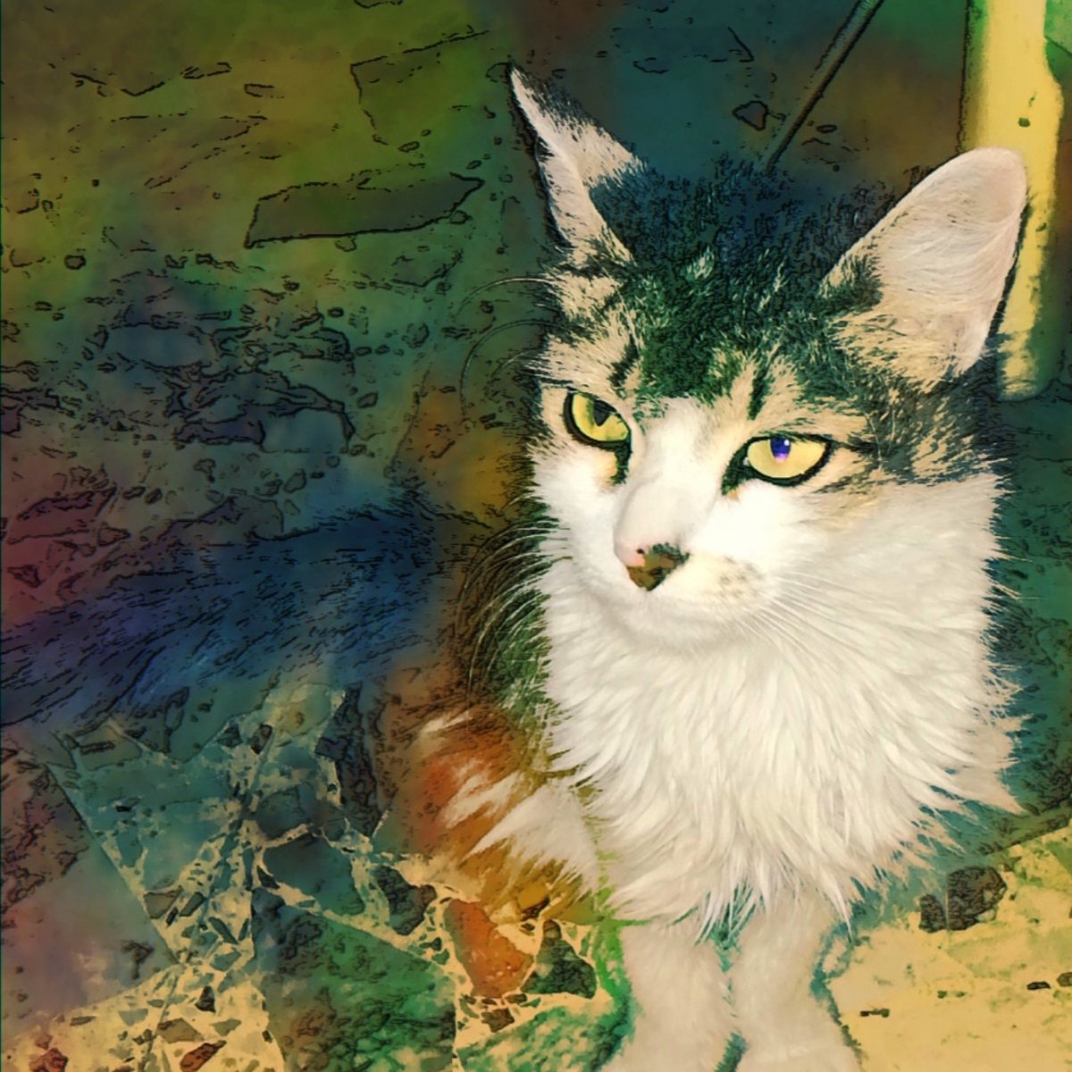 Vincenzo 🎱 JJ4 tweet media