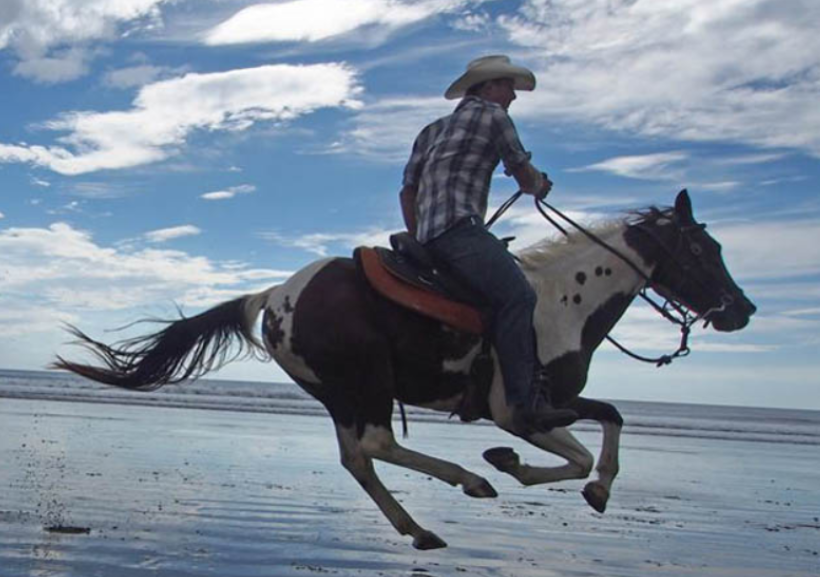 Modern Chinese reuses many of the same characters from Classical Chinese thousands of years ago, giving some words a “retro feel.”rocket: "fire arrow" 火箭subwoofer: "low sounding cannon" 低音炮immediately: "riding on top of a horse" 马上piano: "steel zither" 钢琴
