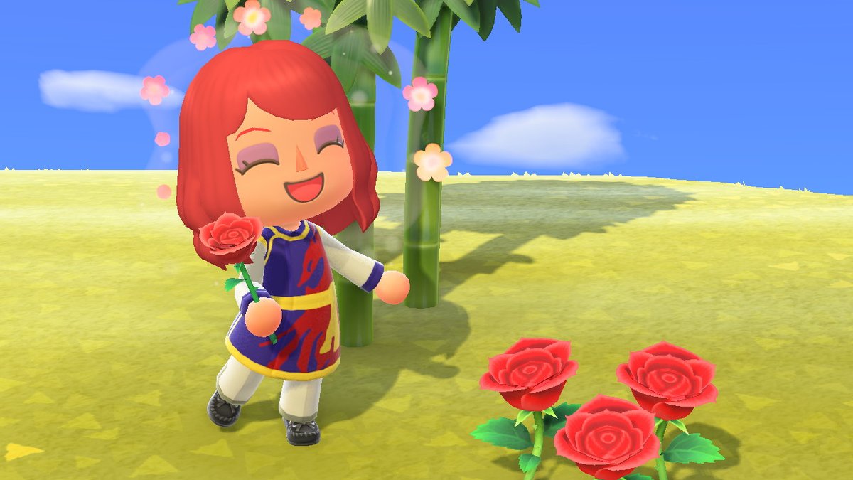 katsquartz's tweet photo. #AnimalCrossing #ACNH #NintendoSwitch https://t.co/1tSbRwsggy