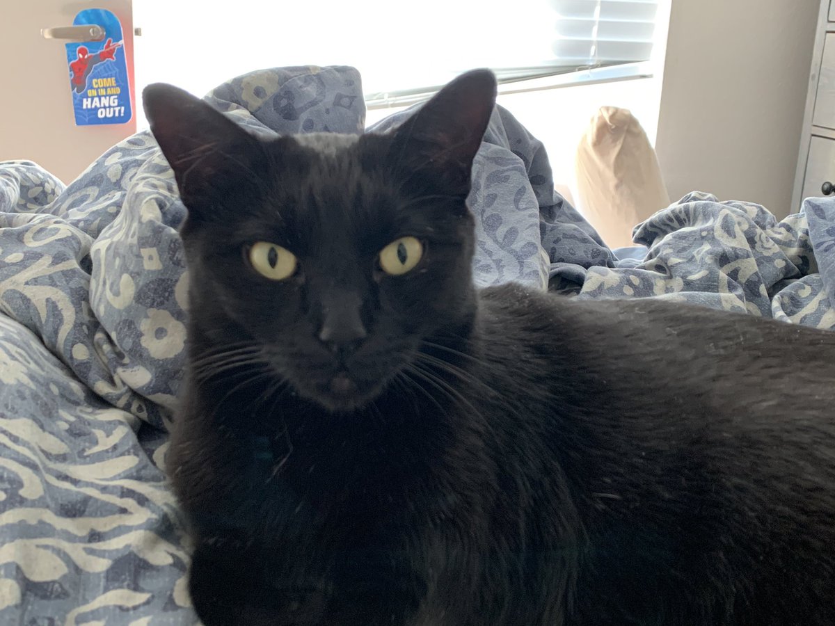 Oh No! Lit Class tweet media