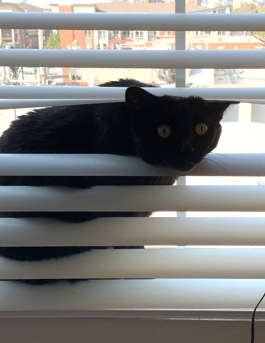 Oh No! Lit Class tweet media