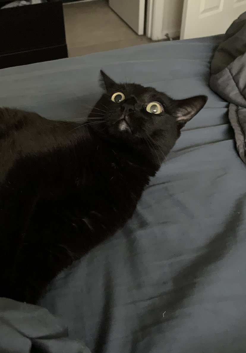 Oh No! Lit Class tweet media