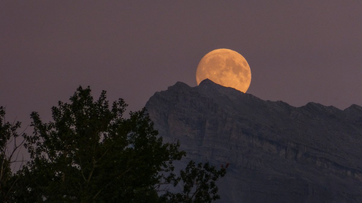 Happy Halloween from Sicamous Trading! Will you be howling at the full moon tonight?