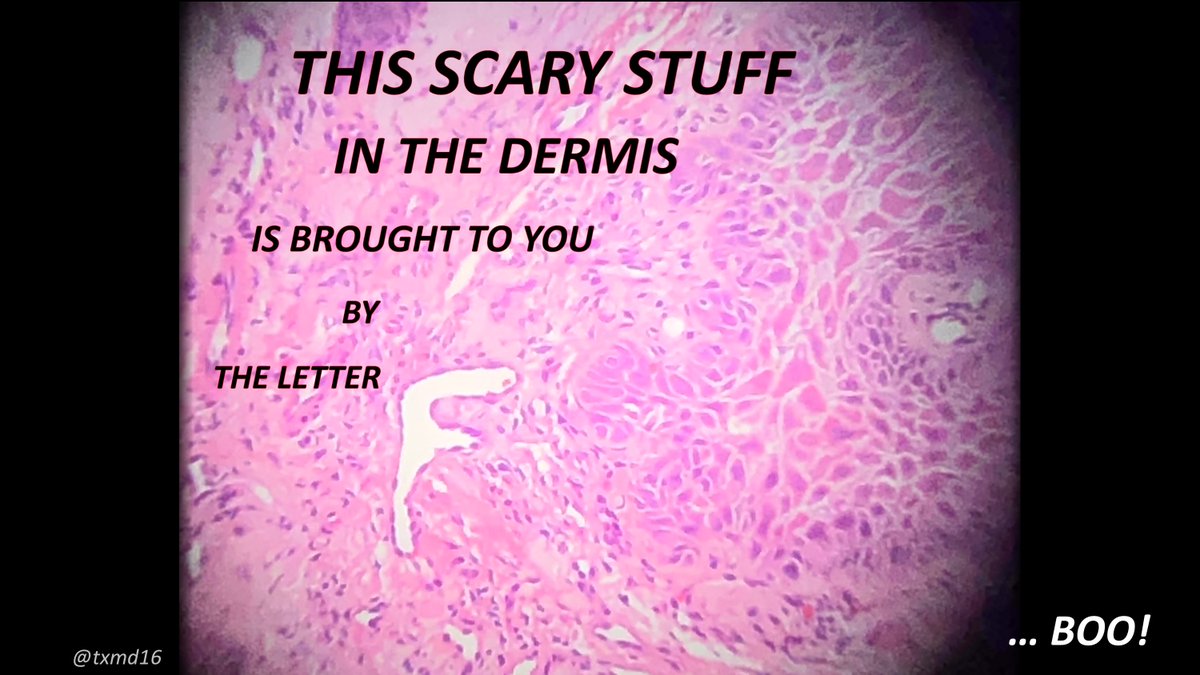 Halloween fun pic from the scope! (And why do letters keep showing up on my slides?) #pathology #surgpath #dermpath #pathart #pathliterati