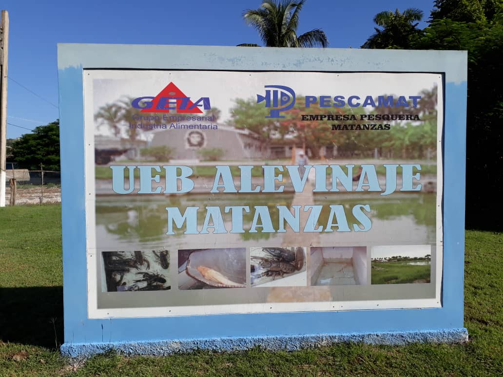 Pesca en Matanzas, avanza en sus resultados, pero aún tiene potencialidades para crecer, por lo que se dejan indicaciones en función de más rendimientos por hectáreas y asumir toda la dieta médica de la provincia. @ManuelSobrinoM @minalcuba @GlezEmerio https://t.co/JBKU2vtpPA