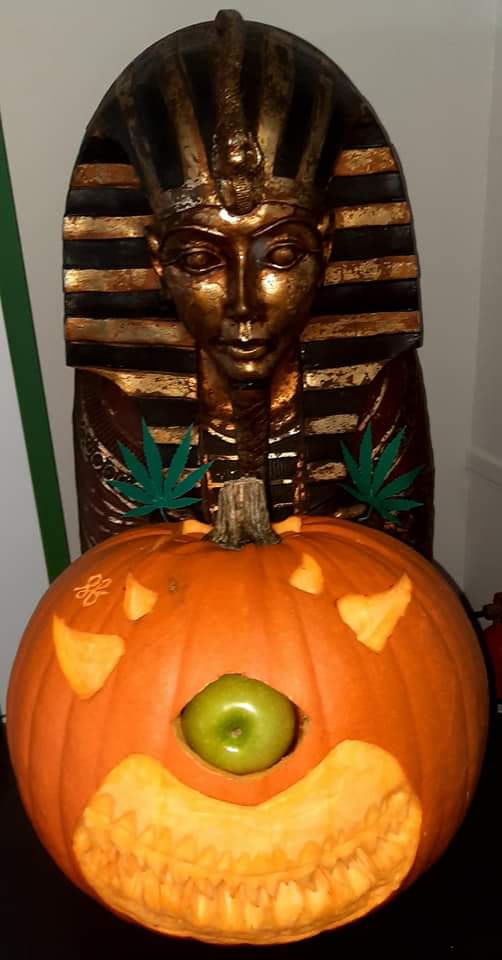 🎃😍 Happy Halloween 🌿👻
#CBDNutritionIreland 🇮🇪
#Wicklow 💻 cannabidiol.ie