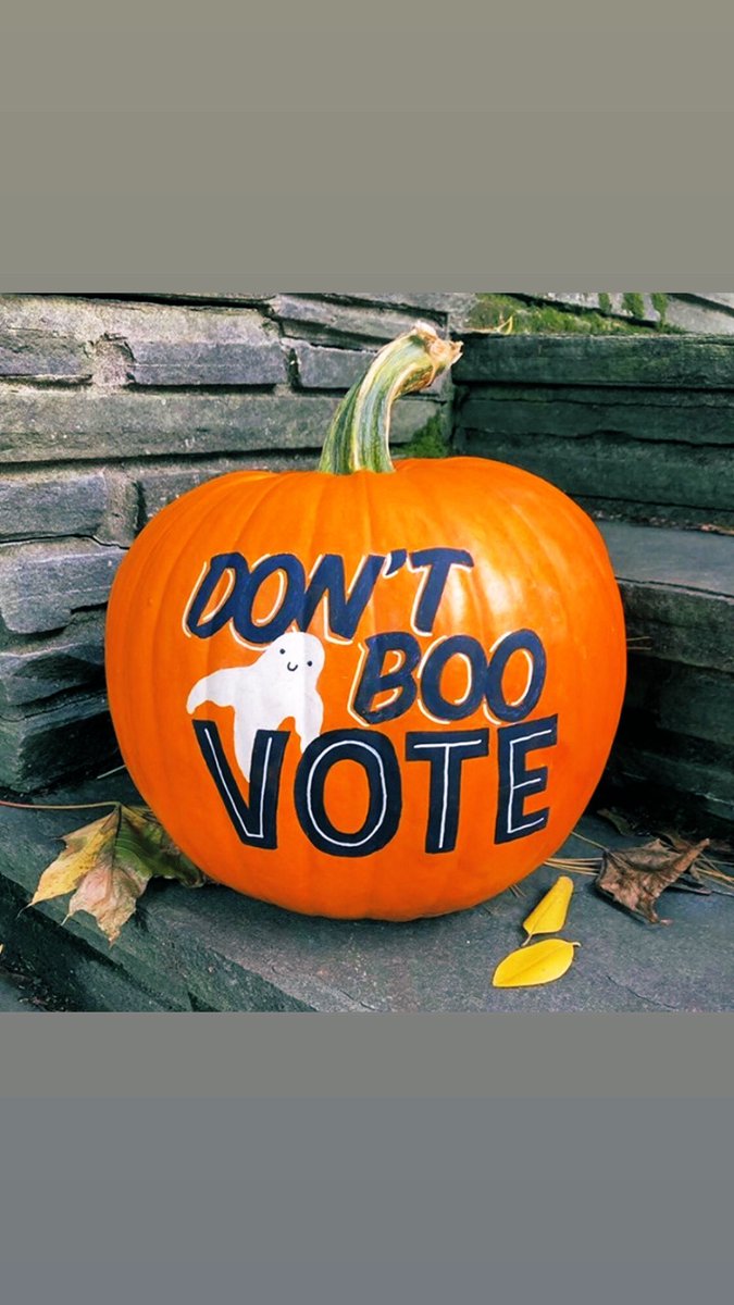TiffanyOnTech's tweet photo. #VOTE https://t.co/HBBSQ5IX8p