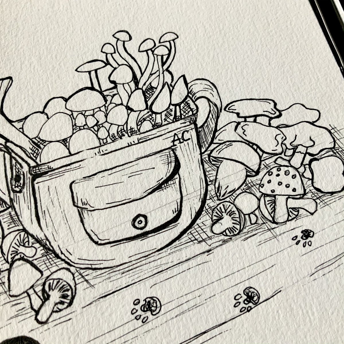 Mushrooms day 30 of #meowtober2020 

The bag is based off my own leather bag I have, I thought it would be cute to just put loads of mushrooms in it.

#alicecheethamart #mossery #sketchbookart #illustration #inkillustration #fineliner #traditionalart #inktoberprompts #mushrooms