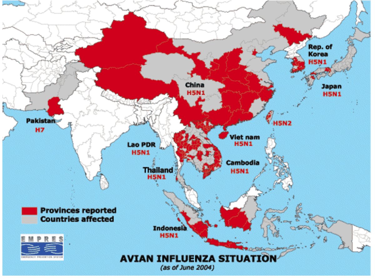 6/11 In the first years after its emergence, this virus spread slowly in Asia through poultry trade. This is the traditional way by which virus spread takes place, and against which traditional hygiene measures are mainly directed on poultry farms.