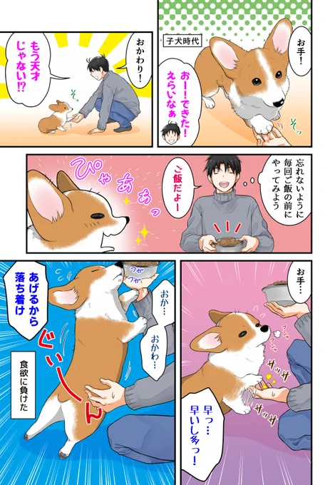 「お手」を覚えたての頃
#犬の日 