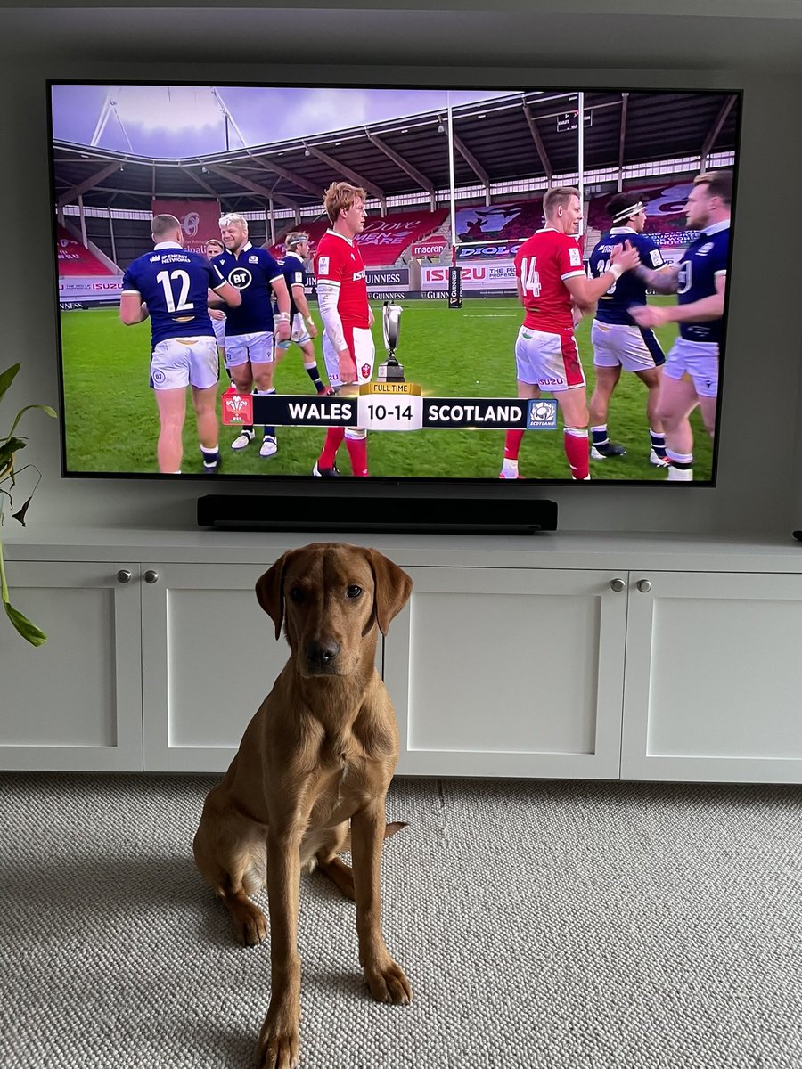 Marta’s first ever @SixNationsRugby match... told her this isn’t normally what happens. Delighted all the same! #WALvSCO