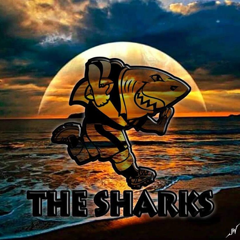 RiaanN2603's tweet photo. Well played @TheSharksZA 🦈 men! What a improvement in game play. Super proud  

#SharkieFromMaritzburre 
#SharksForever
#WaveFromHome https://t.co/nZBrMdeyth