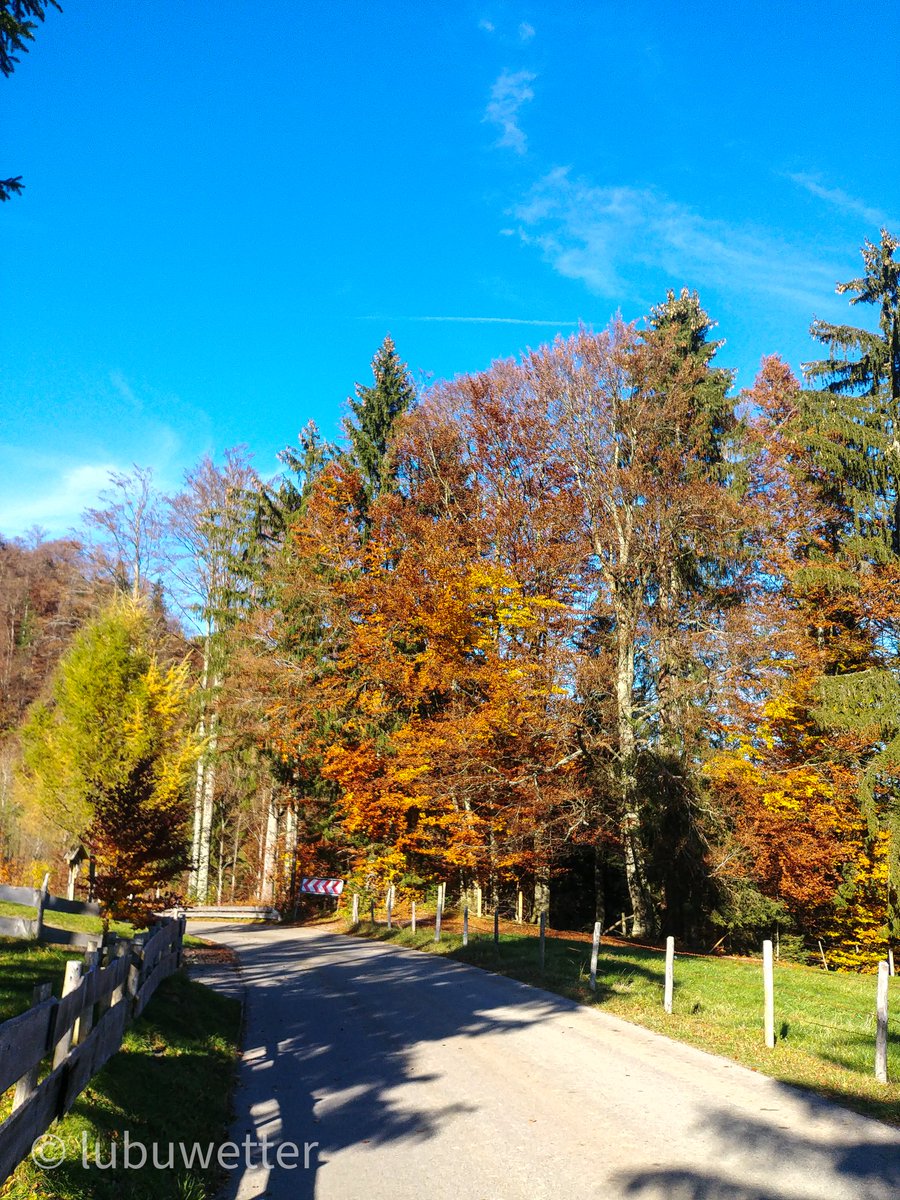 lubuwetter's tweet image. Schnurstracks auf dem Weg in den #Spätherbst