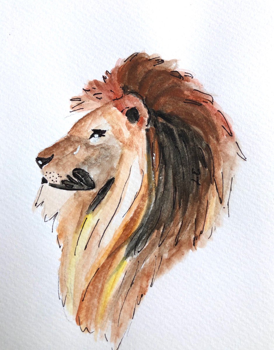 Liart0's tweet photo. A lion doesn't concern itself with the opinion of sheep.
~GEORGE R. R. MARTIN, A Game of Thrones

#lion #watercolor #watercolorart #watercolorartist #selftaughtartist #art https://t.co/1CBkhBhdRv