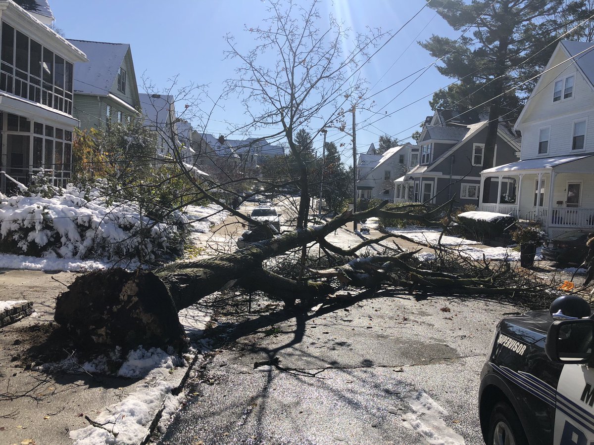 Tree down on Greenleaf St, street blocked, please stay away from area if possible.