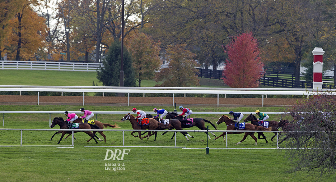 Daily Racing Form Drfinsidepost Twitter