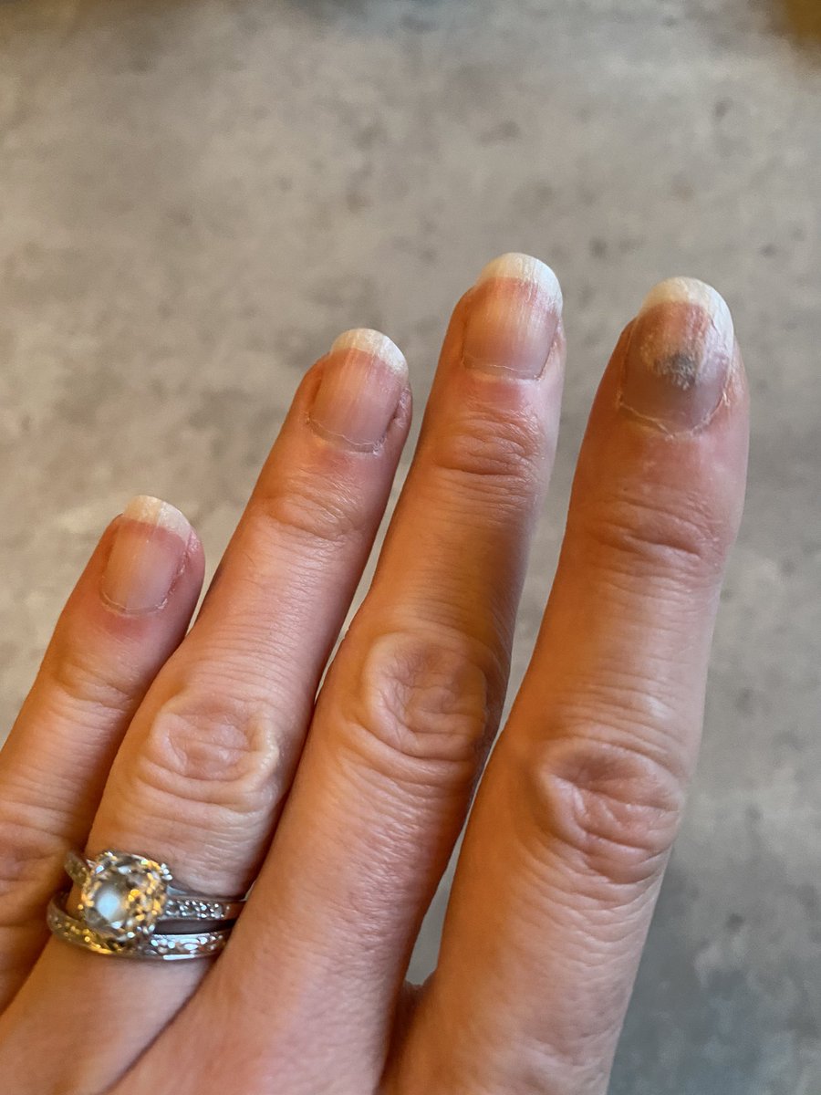 Sarah Macklin 💙 tweet media