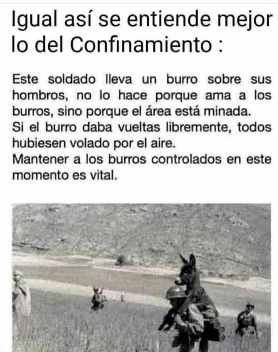 A ver si así se entiende...