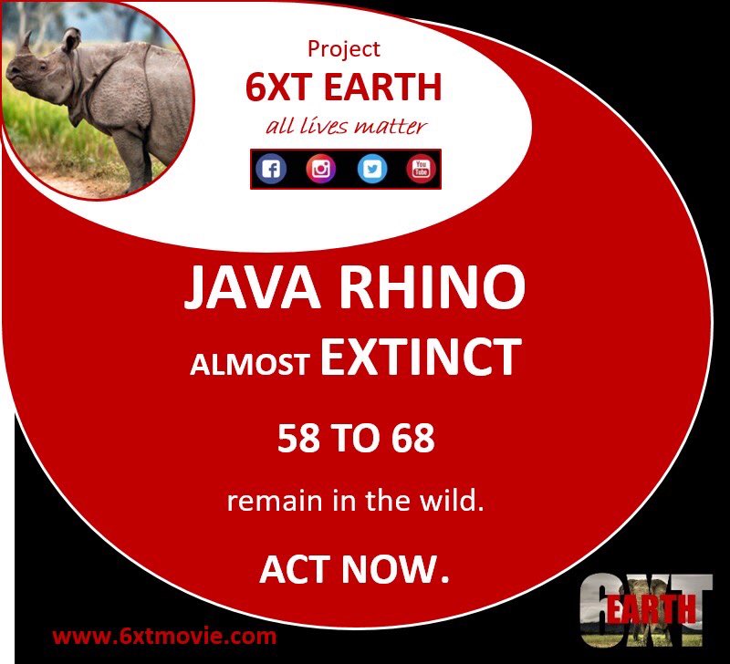 6xtmovie's tweet photo. Project 6XT EARTH -  Launching Nov 2020. The realities of and solutions to Earth’s wildlife crisis. We are the last generation that can save Earths wildlife. 
#lockdown2 #nationallockdown #saveourplanet #sixthextinctionevent #bbc #cnn #wildlife #climatechange https://t.co/3aqSDq77Ce