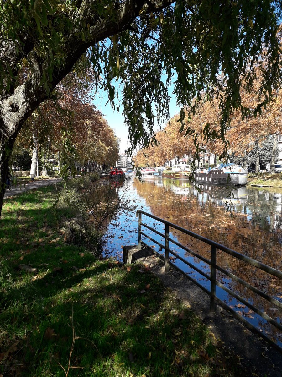 Canal d'automne...🥰
#CanalDuMidi #Toulouse