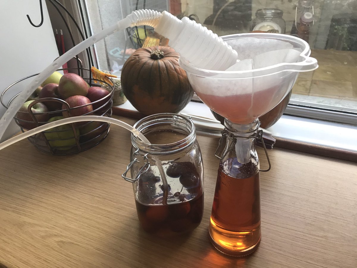 Gareth David-Lloyd tweet media