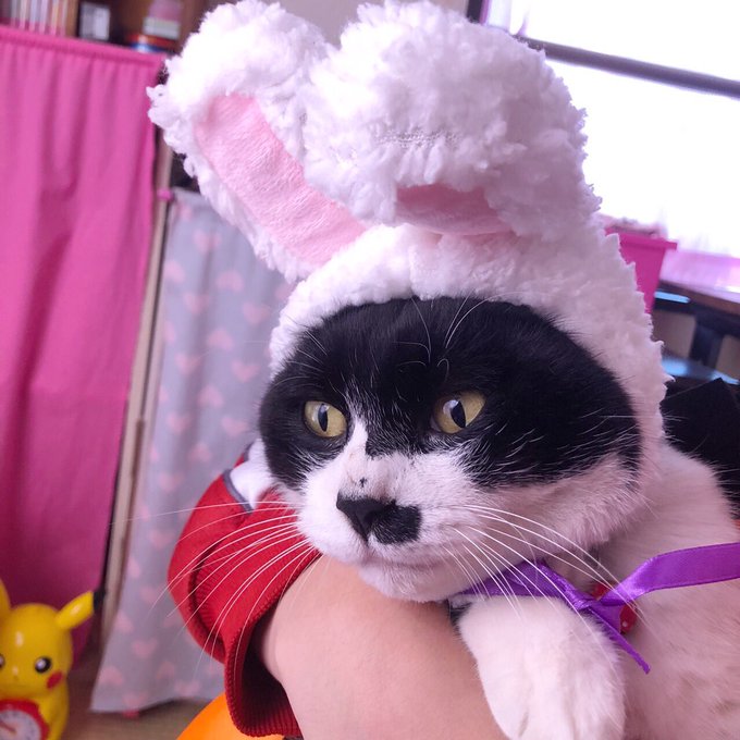 Twitterのコスプレ画像49