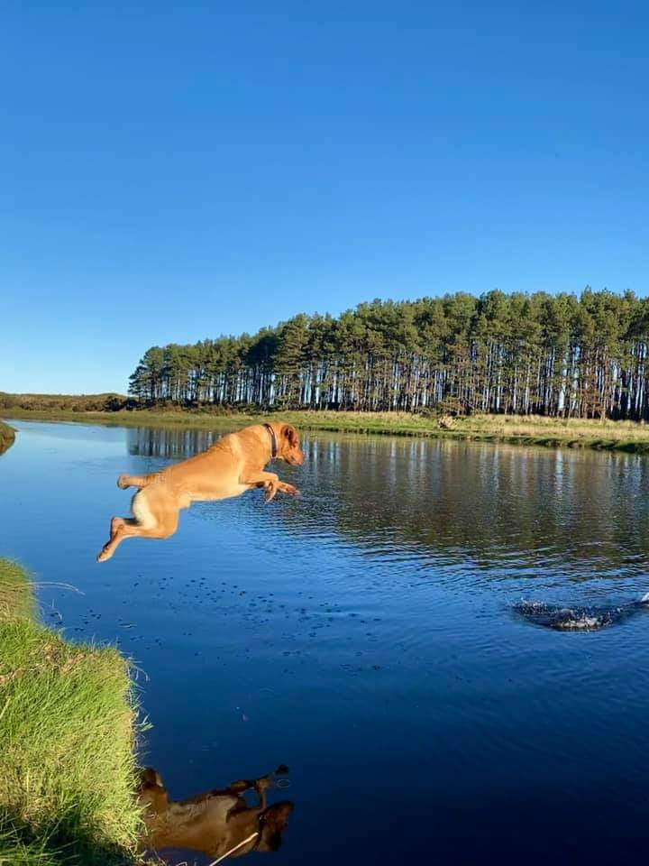 ianwrightcfc's tweet image. 