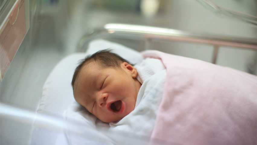 Organ_VSL's tweet photo. Welcome, little one... 💕

📍 Hospital https://t.co/mjYArMsM0L