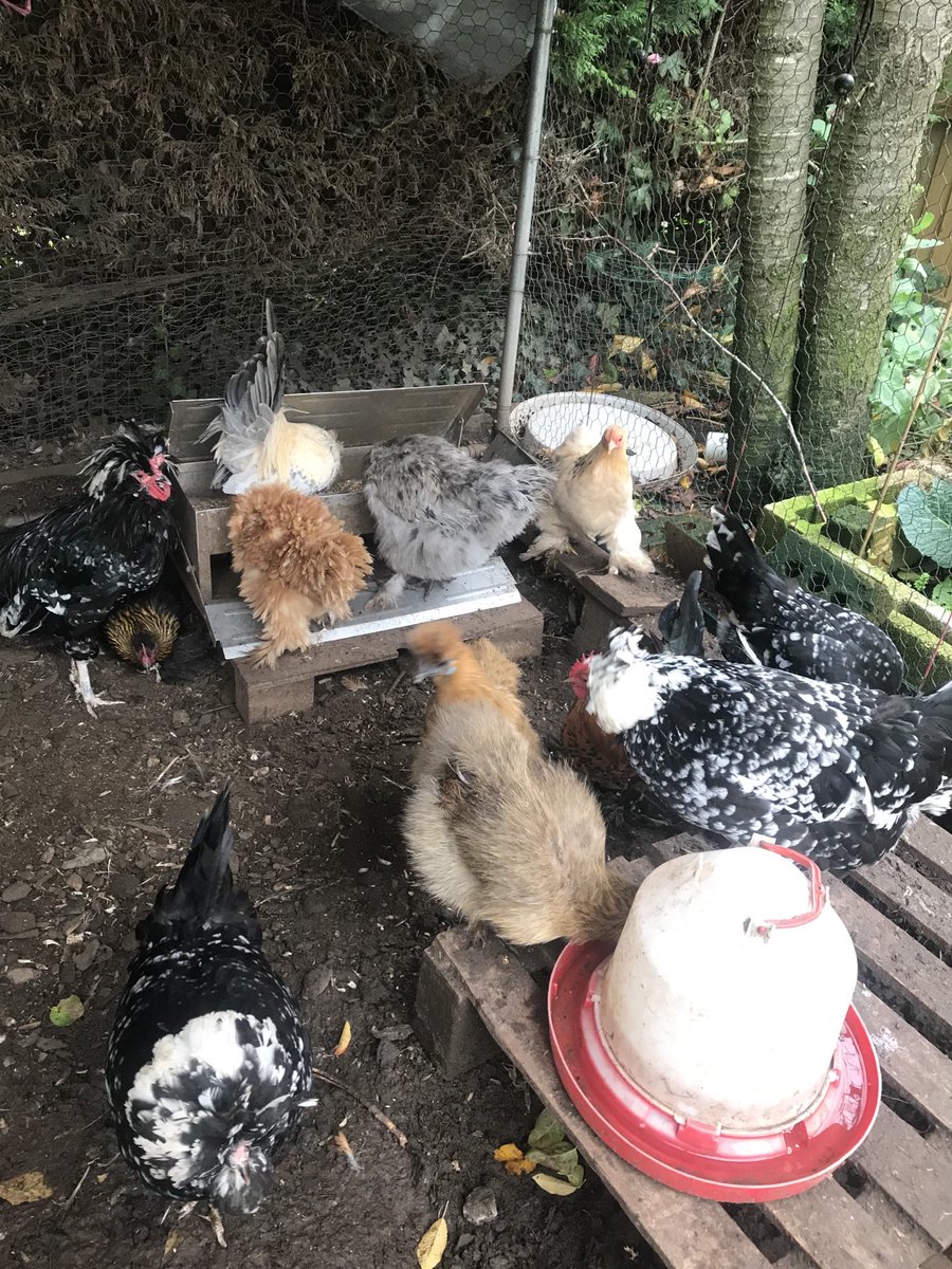 Linval15's tweet image. day 5/7

I’ve been nominated by @tracytsikai1 to post a picture a day for 7days to illustrate my daily life( no people)
You have to copy these words, add photo and repeat the challenge.                                                      Today I nominate ⁦@dnambiar_11⁩