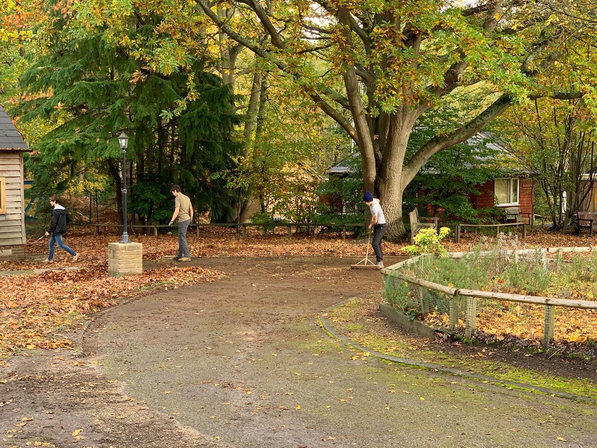 Well that’s a wrap! Our NCS programme in Surrey is finished for Autumn! Check out what our YPs have been upto this week! Thanks for having us <a href="/WaltonFirs/">Walton Firs </a> @NCS