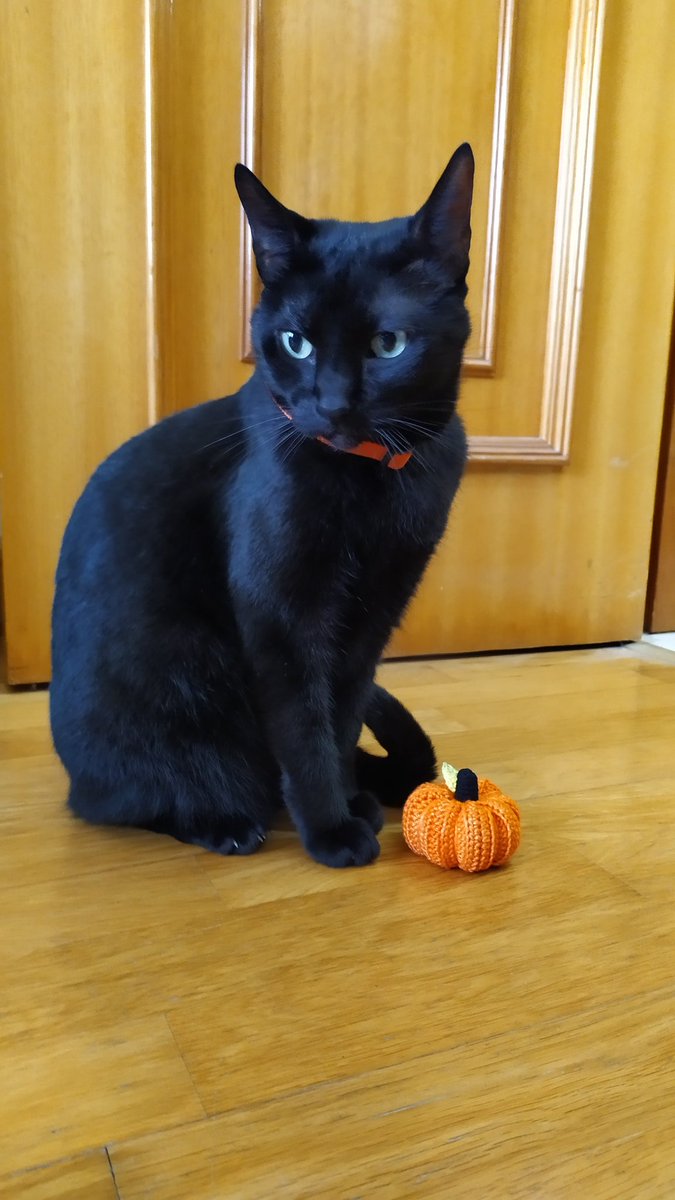 NellasHOME's tweet photo. Happy Halloween 🎃 https://t.co/OzgfPH8iNw