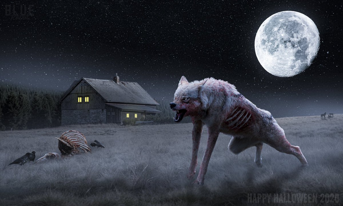 bluerobinuk's tweet photo. NEW Digital Artwork called ‘Zomwolf’ 🐺

Happy Halloween to you all 🎃👻 

#HappyHalloween #Halloween https://t.co/cJrkdTLhyu