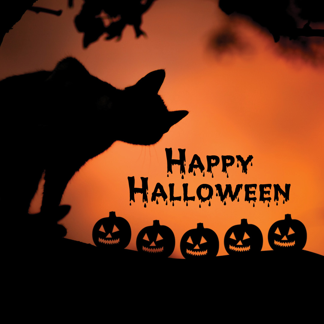 Happy #Halloween from Girard Ford