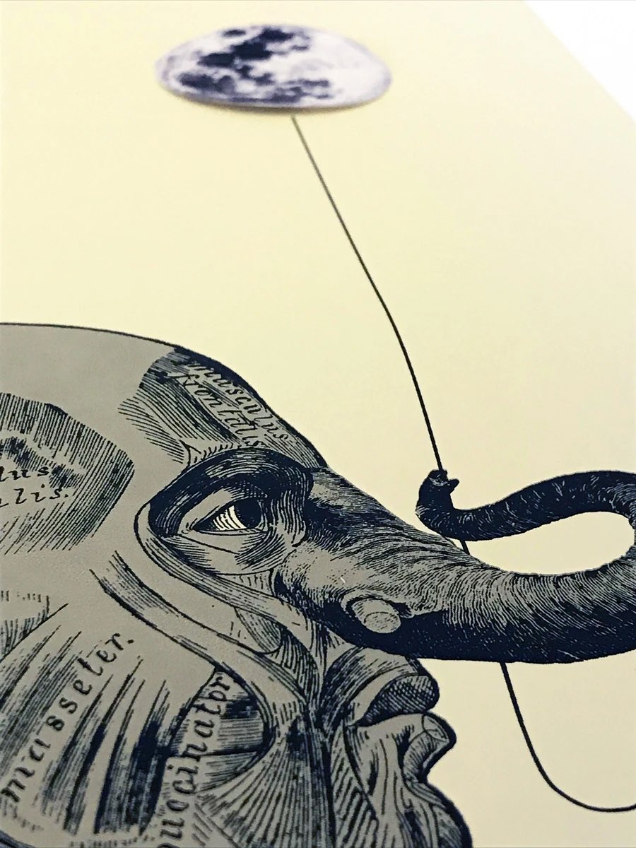 Hoy más bella, hoy más azul.
Una vez fue mía.
Un deseo, hacerla una vez más mía. Un sueño de luna, atraparla, tenerla. Misterio, recuerdos e historia, la luna te reta a que juegues con ella. En noches claras la luna, a  tu lado pálida duerme. <a href="/Gunter_Gallery/">Gunter Gallery</a>