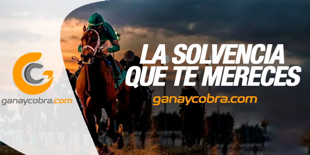 #Apuestas | Diviértete ganando en la plataforma de @ganaycobra Tu apuesta inteligente!!! Ingresa a su web para que no te pierdas sus promociones 👉 https://t.co/kWgQSZx85X #Casino #Hipismo #Parley #NHL #NBA #Futbol #NFL #Tenis #Deportes https://t.co/v8DONVVr9V