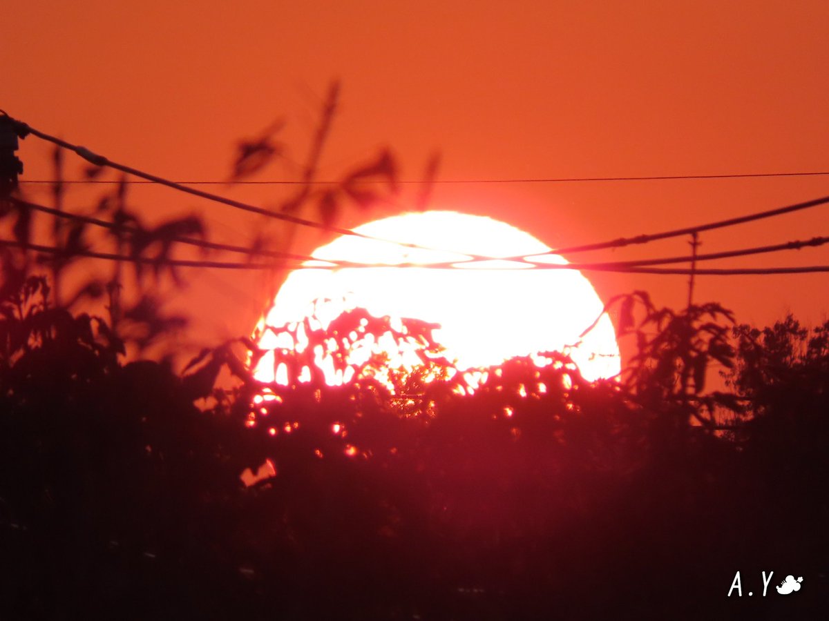 yumeasutw's tweet photo. 真ん丸夕日🌇

🎃Happy Halloween👻
晴れ渡る穏やかな夕空を、真ん丸夕日が沈んで行きました♥️
さあ、Halloweenの夜の始まりです🦇

#夕空 #夕焼け #鉄塔 #電線 #電柱
#空の名前
#雲の教室
#ゴールデンアワー
#マジックアワー
#sunset
#a2020 #a1030 #a202010 #a2020105 https://t.co/jsCaTatZre