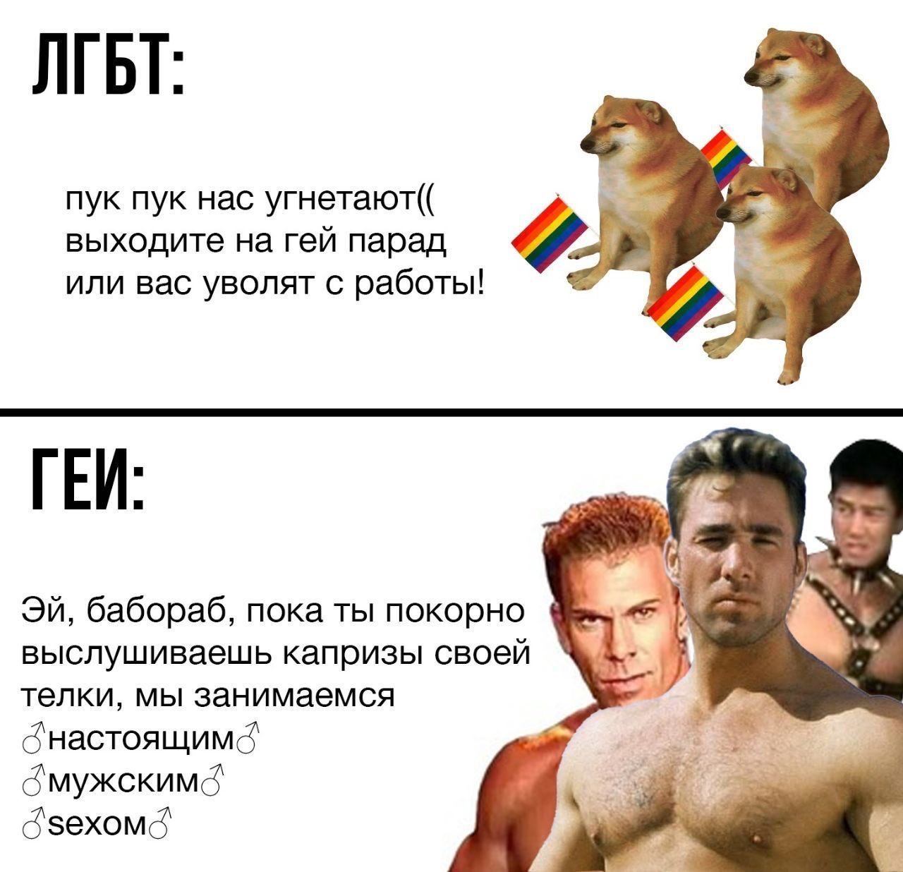 ElqIrkmWoAAfS9A?format=jpg&name=large