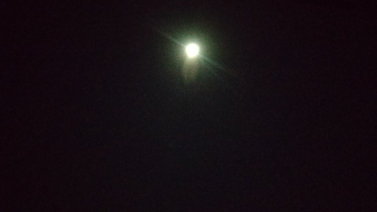 Saturday_lovers's tweet photo. 見果てぬ夢 届かぬ恋 全ては蜃気楼…
#Endless_Dream #Blue_Moon_Blue
#BlueMoon https://t.co/chMgPkRlmw