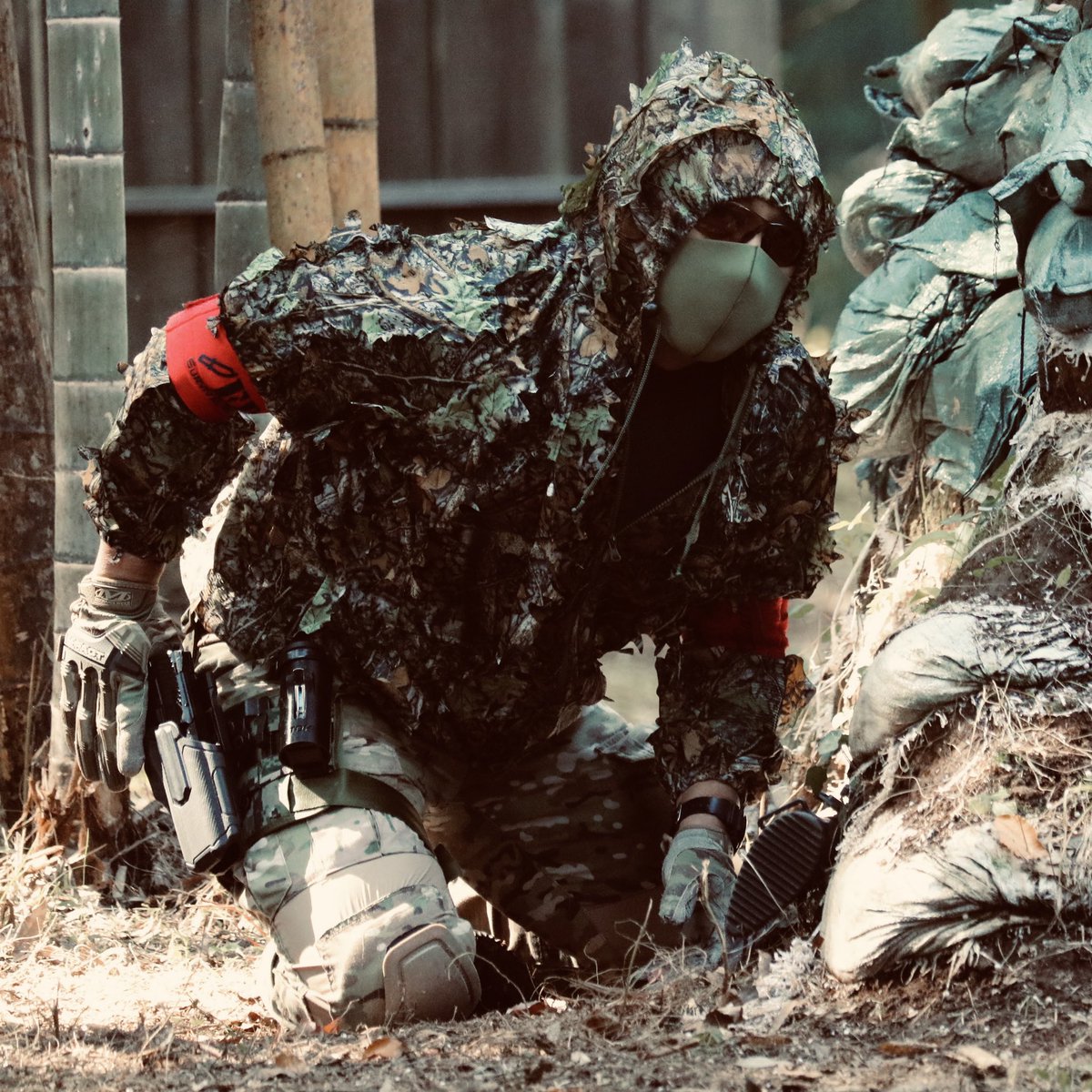 せいうち Respawn❗️ tweet media